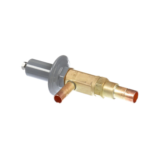 Saniserv 71042 Valve Auto Expansion
